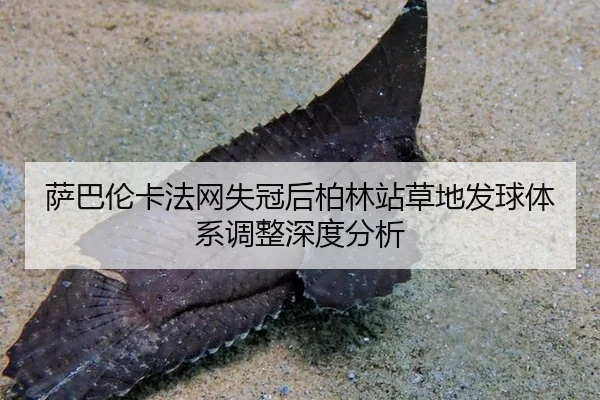 sa-ba-lun-ka-fa-wang-shi-guan-hou-bo-lin-zhan-cao-di-fa-qiu-ti-xi-tiao-zheng-shen-du-fen-xi-2-812.jpg